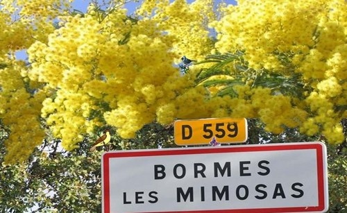 1-samedi-bormes-les-mimosas-2