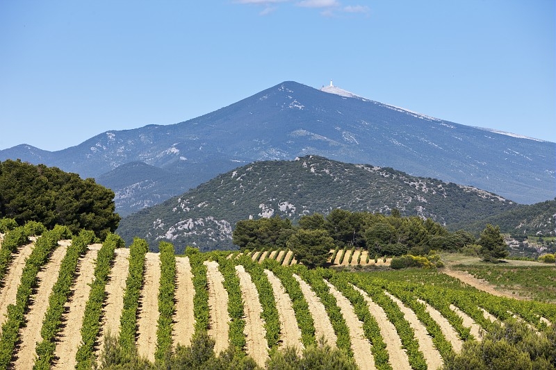 04.2-mardi-vignoble-ventoux